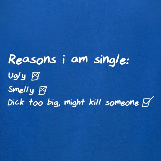 Reasons I am Single, Ugly, Smelly, Dick too big, might kill someone t shirt